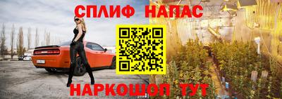 шишки Бузулук