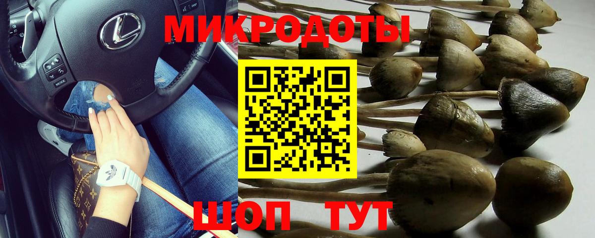 Галлюциногенные грибы GOLDEN TEACHER  Вход с VPN  наркошоп  Серов 